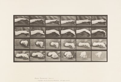 Płyta 532.Ruch ręki; Rysowanie koła, 1885 autorstwa Eadweard Muybridge