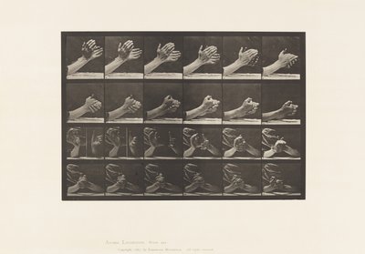 Płyta 533.Ruch ręki; Splatanie się za ręce, 1885 autorstwa Eadweard Muybridge