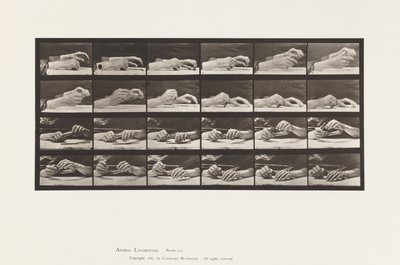 Płyta 536. Ruch ręki; Ręce zmieniające ołówek autorstwa Eadweard Muybridge