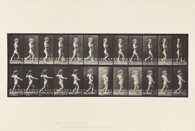 Płyta 540.A, Nogi dziobowe; Chłopiec; B, próchnica kręgosłupa; Spacerująca dziewczyna, 1885 autorstwa Eadweard Muybridge