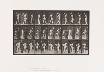 Tabliczka 541. Rozsiane stwardnienie mózgowo-rdzeniowe (pląsawicowe); Pieszy autorstwa Eadweard Muybridge