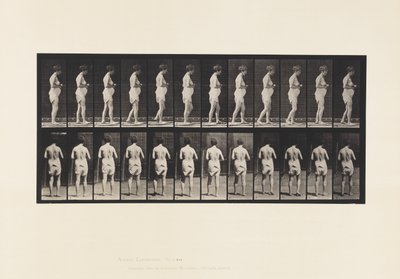 Tabliczka 542. Rozsiane stwardnienie mózgowo-rdzeniowe - chodzenie autorstwa Eadweard Muybridge