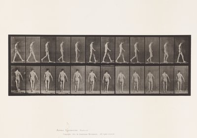 Tabliczka 546. Ataksja lokomotoryczna; Spacer, 1885 autorstwa Eadweard Muybridge