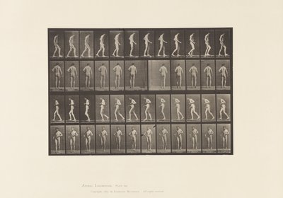 Tabliczka 548. Stwardnienie boczne; A,B, Chodzenie, 1885 autorstwa Eadweard Muybridge