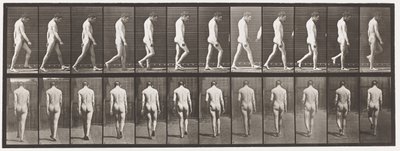Tabliczka 549.Padaczka; Spacer, 1885 autorstwa Eadweard Muybridge