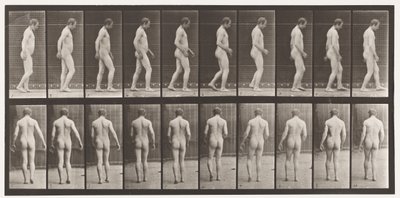Tabliczka 553.Po urazie głowy; Spacer, 1885 autorstwa Eadweard Muybridge