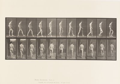 Płytka 554. Ataksja lokomotoryczna; Spacer, 1885 autorstwa Eadweard Muybridge