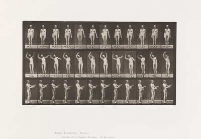 Płyta 557.Pląsawica miejscowa; A, B, C, Stojąc, 1885 autorstwa Eadweard Muybridge