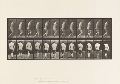 Tabliczka 558.Paraplegia; Częściowy; Spacer, 1885 autorstwa Eadweard Muybridge