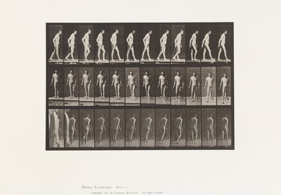 Tabliczka 559. Stwardnienie rozsiane; Spacer z laską autorstwa Eadweard Muybridge