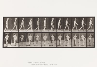 Tabliczka 562. Boczna krzywizna kręgosłupa; Pieszy autorstwa Eadweard Muybridge