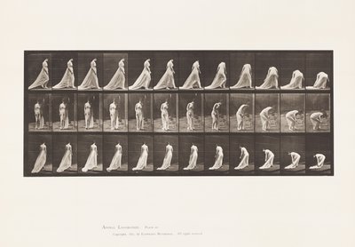 Płyta 56. Chodzenie, skręcanie i pochylanie się, aby podnieść pociąg autorstwa Eadweard Muybridge