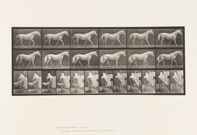 Płyta 576. Chodzenie; Bezpłatny; Jasnoszary Koń Orzeł autorstwa Eadweard Muybridge