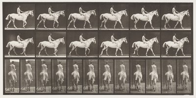 Płyta 581.Chodzenie;Na oklep;Jeździec,43, Nude; Jasnoszary Koń Smith, 1885 autorstwa Eadweard Muybridge