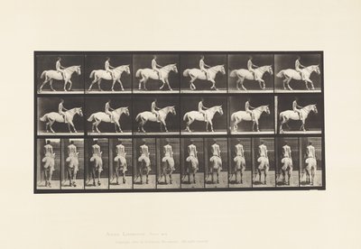 Płyta 582. Chodzenie; Siodło; Jeździec, 43 lata, nago; Jasnoszary Koń Smith autorstwa Eadweard Muybridge
