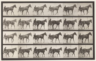 Płyta 587.Chodzenie; Nadąsany; szczaw klacz Nellie Rose, 1885 autorstwa Eadweard Muybridge