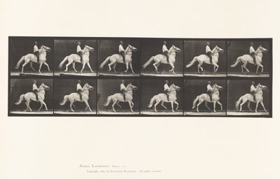 Płyta 589.Ambling autorstwa Eadweard Muybridge