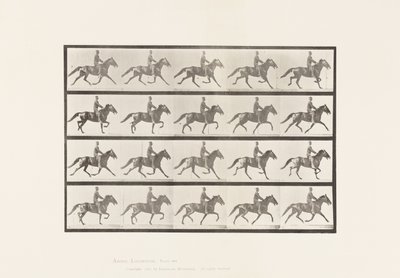 Płyta 591. Kołysanie autorstwa Eadweard Muybridge