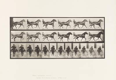 Płyta 594. Kołysanie (stymulacja): Sulky; Brązowy koń Pronto autorstwa Eadweard Muybridge