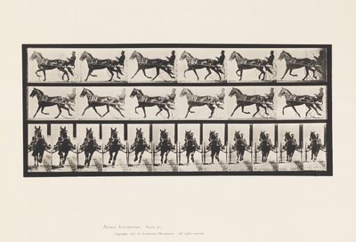 Płyta 595. Kołysanie (stymulacja): Sulky; Brązowy koń Pronto autorstwa Eadweard Muybridge