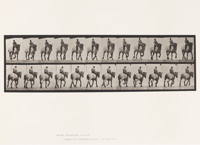 Płyta 599. Kłus; Oklep; Ciemnoszary Dusel autorstwa Eadweard Muybridge