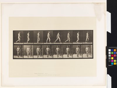 Płyta 5.Chodzenie autorstwa Eadweard Muybridge