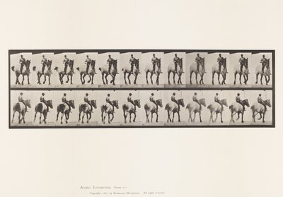 Płyta 600. Kłus; Oklep; Ciemnoszary Dusel autorstwa Eadweard Muybridge