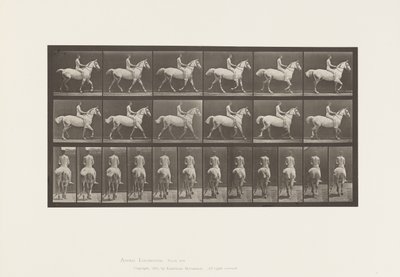Płyta 602.Kłus;Na oklep; Jeździec,43,Nude;Jasnoszary Koń Smith, 1885 autorstwa Eadweard Muybridge