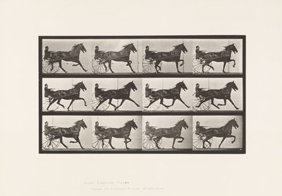 Płyta 606. Kłus; Nadąsany; Gniady koń, Ruben autorstwa Eadweard Muybridge