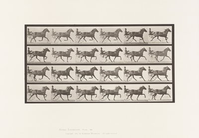 Płyta 609. Kłus; Nadąsany; Gniada Klacz, Lizzie M. autorstwa Eadweard Muybridge