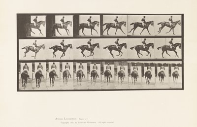 Płyta 620. Galop; Siodło; Koń pełnej krwi angielskiej klacz Annie 6. autorstwa Eadweard Muybridge