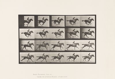 Płyta 627. Galop; Koń pełnej krwi angielskiej klacz Annie G. autorstwa Eadweard Muybridge