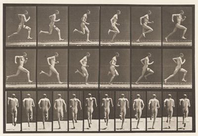 Płyta 62. Bieganie na pełnych obrotach, 1872-1885 autorstwa Eadweard Muybridge