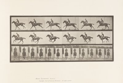 Płyta 631. Galop; Siodło; Bukiet koni pełnej krwi angielskiej autorstwa Eadweard Muybridge