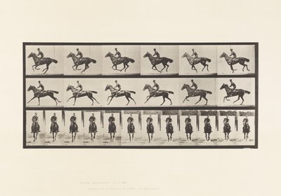 Płyta 632. Galop; Siodło; Bukiet koni pełnej krwi angielskiej autorstwa Eadweard Muybridge