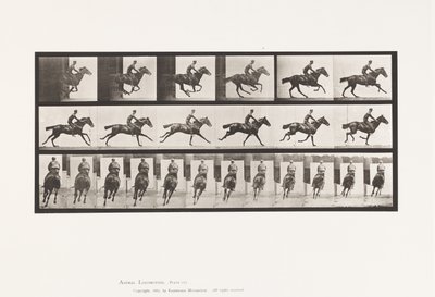 Płyta 633. Galop; Siodło; Bukiet koni pełnej krwi angielskiej autorstwa Eadweard Muybridge