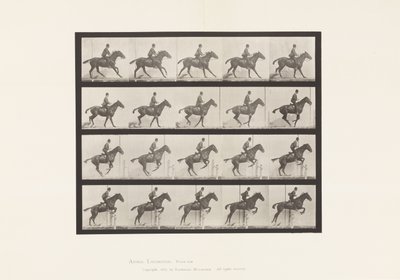 Tabliczka 636. Skakanie przez przeszkodę; Siodło; Przygotowanie do skoku autorstwa Eadweard Muybridge