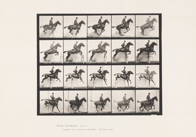 Płyta 640. Skakanie przez przeszkodę; Siodło; Stokrotka Gniadego Konia autorstwa Eadweard Muybridge