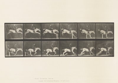 Tabliczka 641. Skakanie przez płotki; Siodło; Przewrócenie przeszkody i autorstwa Eadweard Muybridge