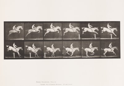 Płyta 643. Przeskakiwanie przez płotki; Oklep; Rozliczenie i lądowanie; autorstwa Eadweard Muybridge