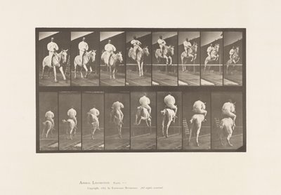 Tabliczka 644. Skakanie przez płotki; Siodło; Rozliczenie i lądowanie autorstwa Eadweard Muybridge