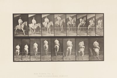 Płyta 645. Skoki przez płotki; Siodło; Rozliczenie i lądowanie autorstwa Eadweard Muybridge