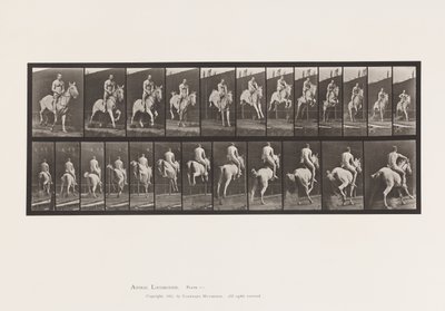Płyta 646. Skoki przez płotki; Siodło; Jeździec, 105, Akt;, 1885 autorstwa Eadweard Muybridge