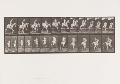 Tabliczka 647. Skoki przez przeszkodę; Oklep; Jeździec autorstwa Eadweard Muybridge