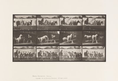 Tabliczka 651.A, Dzwonek; B, tablica balansująca; C, wiertło wojskowe autorstwa Eadweard Muybridge