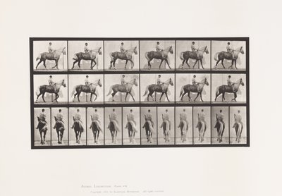 Płyta 653. Chodzenie; Siodło; Kulawa, prawa przednia stopa; końska skóra koźlęca autorstwa Eadweard Muybridge