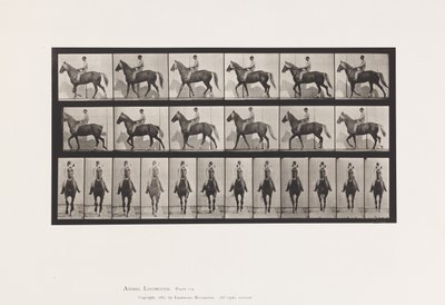 Płyta 654. Chodzenie; Siodło; Kulawa, prawa przednia stopa; końska skóra koźlęca autorstwa Eadweard Muybridge