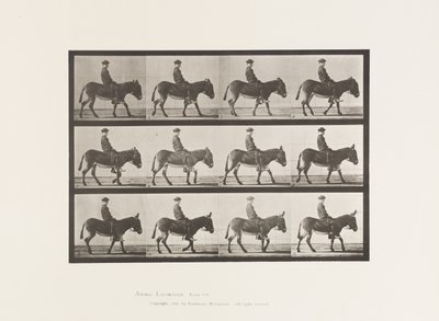 Tabliczka 665. Dup; Pieszy; Oklep; Jeżdżący chłopiec, Jennie autorstwa Eadweard Muybridge