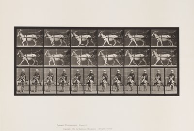 Tabliczka 678. Koza; Kłus, w Sulky autorstwa Eadweard Muybridge