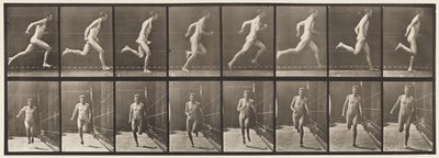 Płyta 67. Bieganie, 1872-1885 autorstwa Eadweard Muybridge